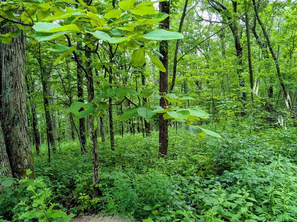 224 Cedar Dr, Nellysford, VA 22967