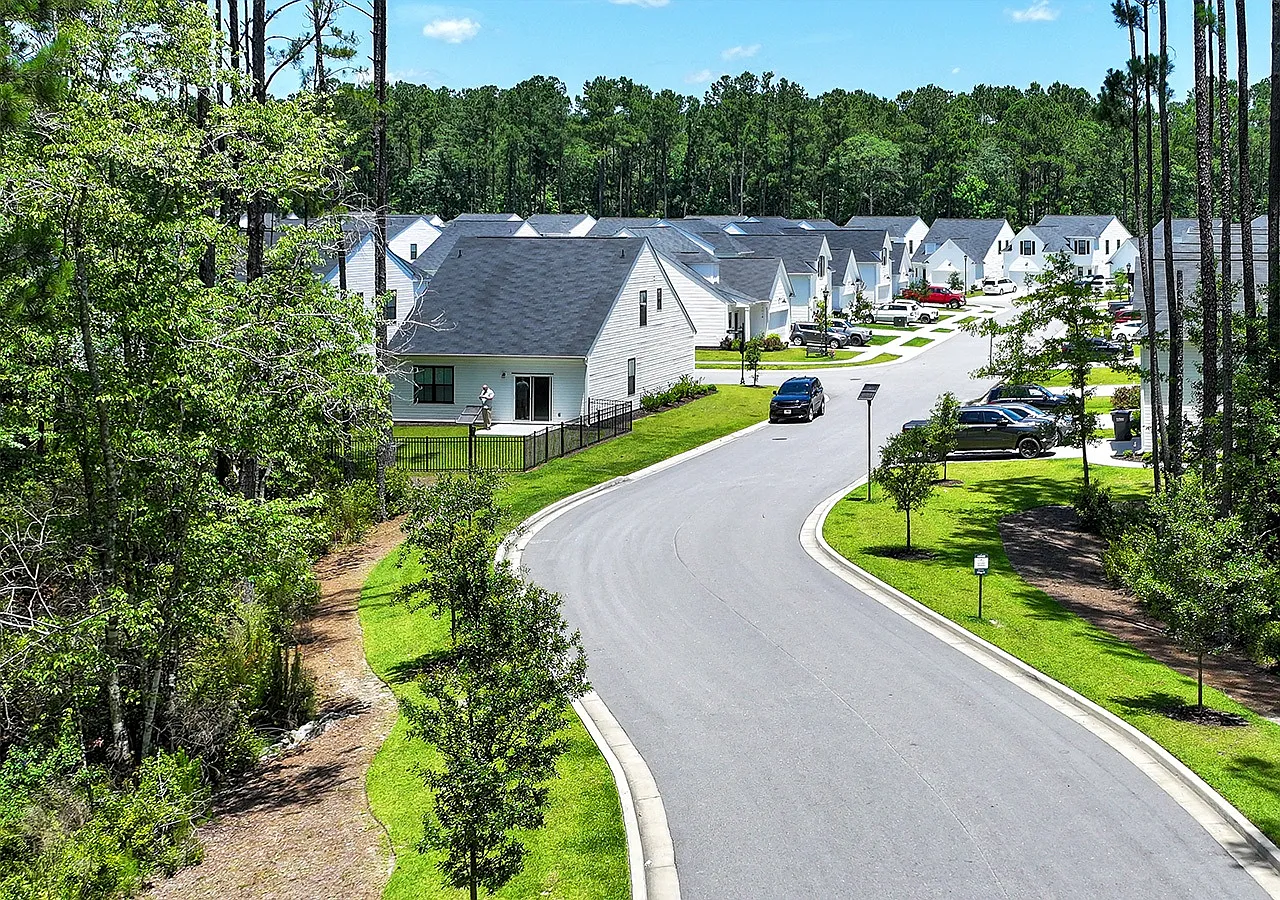 New River Forest — Photo 3