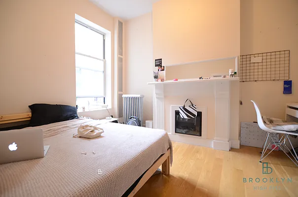 Rented by Brooklyn High Rise LLC | media 13