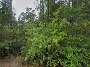 107 Glenside Street, Georgetown, FL 32139