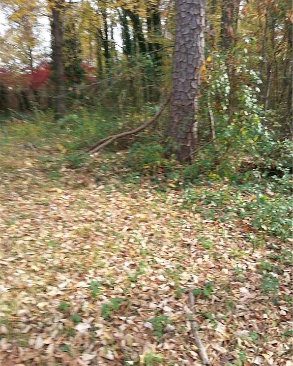 1st image of 3406 Green Needle Dr