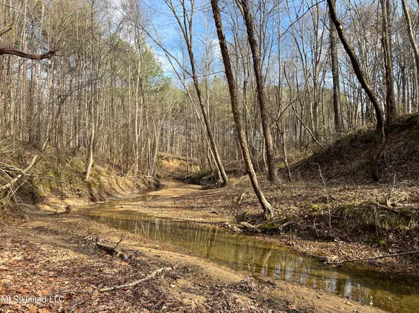 Ruffin Rd, Enid, MS 38927