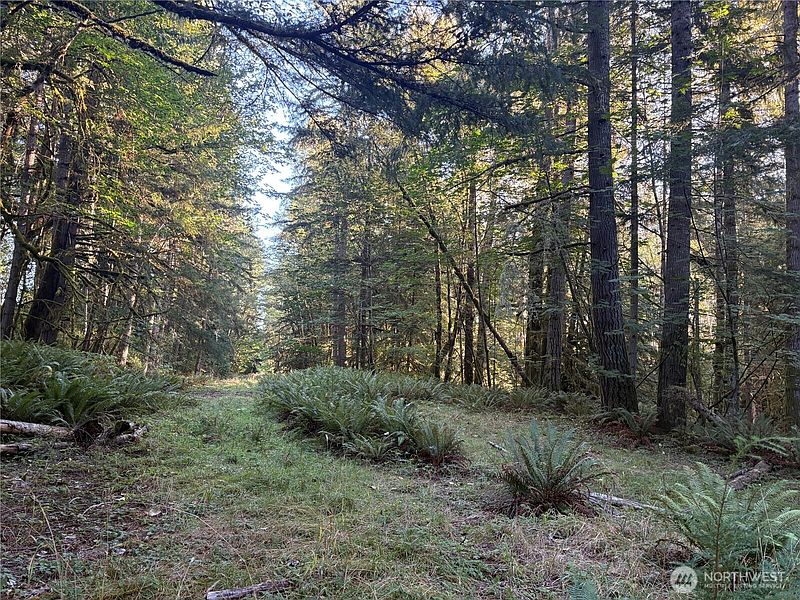 3rd image of 1 NKA Frank Smith Road
