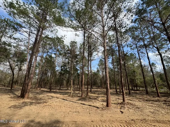 Nhn E Wire East Rd, Perkinston, MS 39573