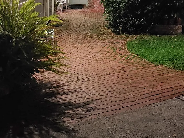 407 Cliff St — Photo 3
