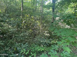 LOT 67 Sycamore St, Sevierville, TN 37876