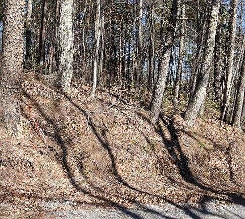 3rd image of 7 Mount Pleasant Rd