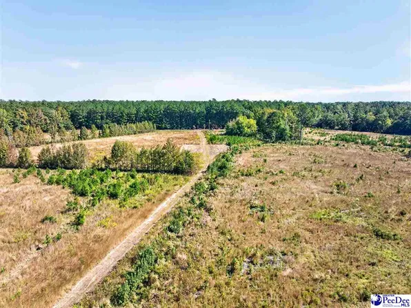 0 Fowler Rd Lot 2, Coward, SC 29530