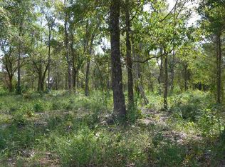 LOT 3 S Live Oak Rd, Gilmer, TX 75644