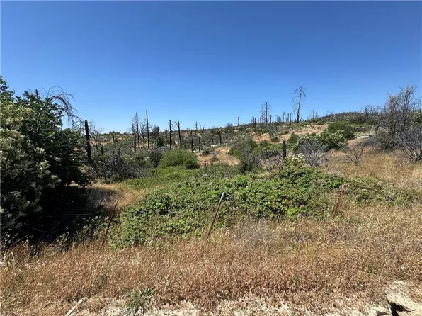 0 Sierra View Loop #1, Berry Creek, CA 95916