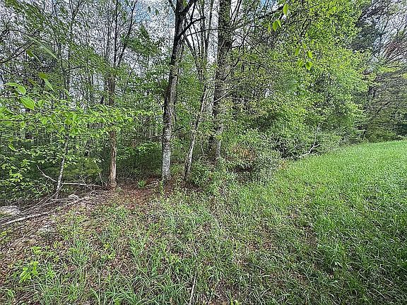 2nd image of 927 Kinzer Rd