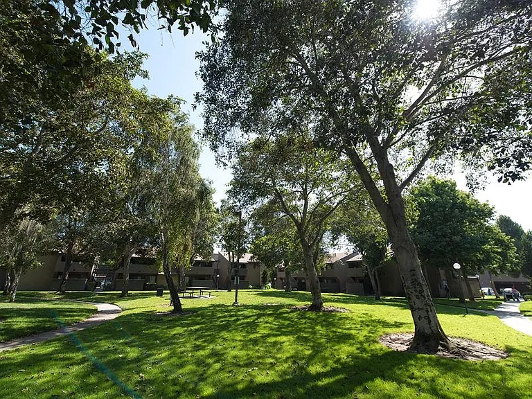 La Vista — Photo 30