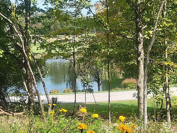 View of Upper Lake
