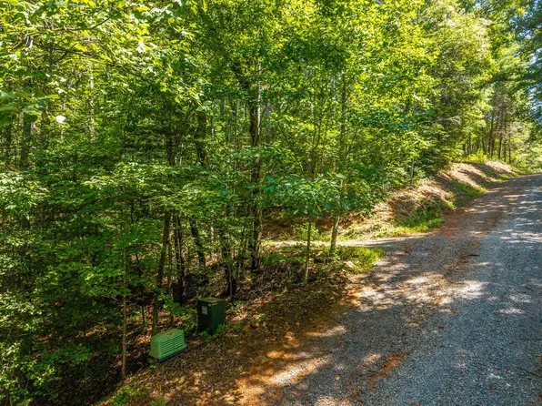 TRACT 2A Stevens Ridge Rd, Ellijay, GA 30540