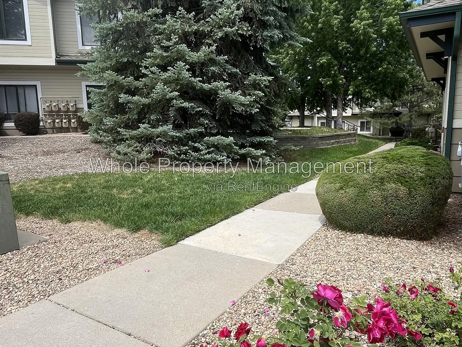 2 bed, 1.0 bath, 793 sqft, $1,550 — Photo 4