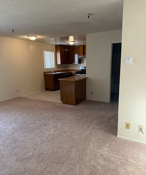Doty Apartment North & South — Photo 12