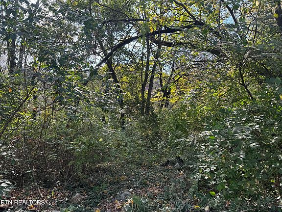 5th image of 0 Mississippi Ave