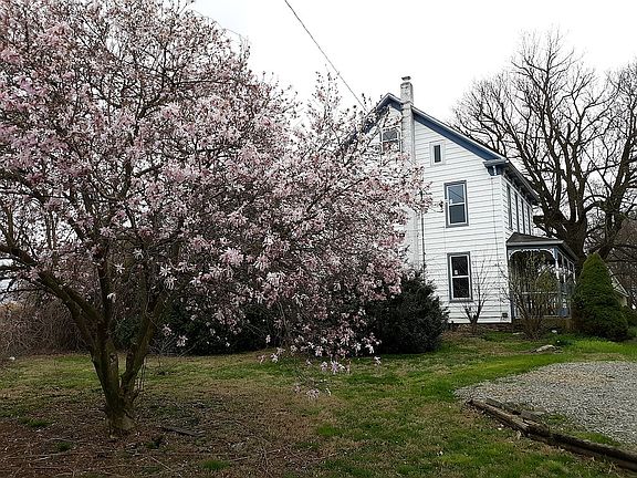 Lots of Flowering trees!