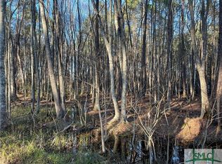 141 Beebe Rd, Springfield, GA 31329