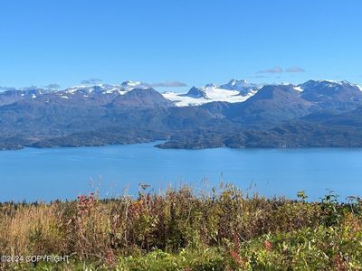 51080 Trail Mountain Rd, Homer, AK, 99603