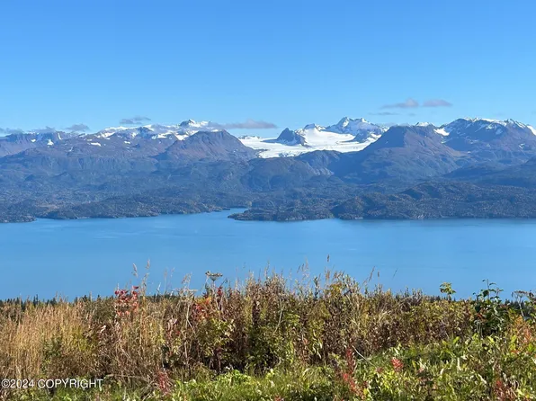 51080 Trail Mountain Rd, Homer, AK 99603