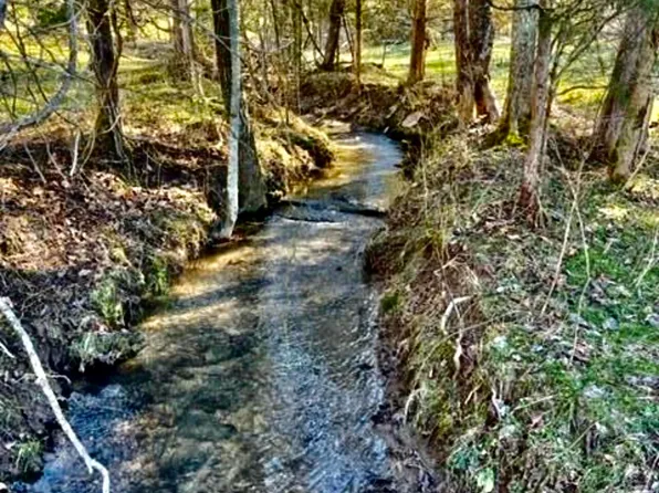 105 Acres Hwy #131, Washburn, TN 37888