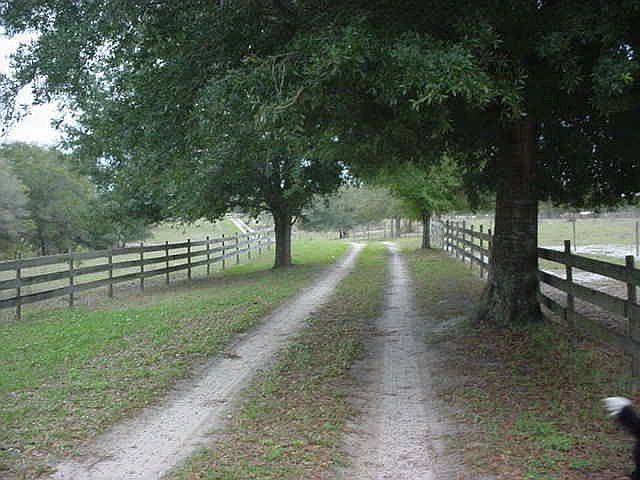 1/4 mile long driveway