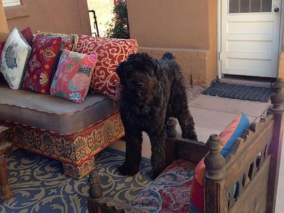 Outside living room area with built in couches (dog not incl