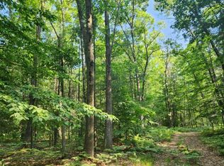 V/l W Lakewood Rd, Whitehall, MI 49461