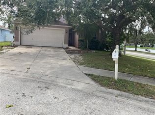 8828 Sea Island Way, Tampa, FL 33635