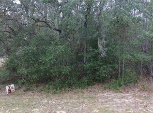 9700 N Langdon Rd, Dunnellon, FL 34434