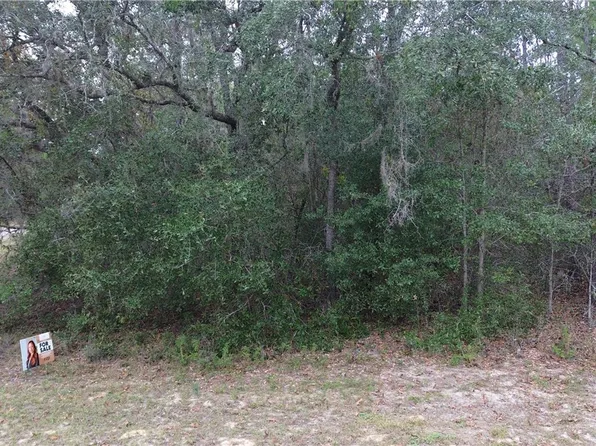 9700 N LANGDON Road, Citrus Springs, FL 34434