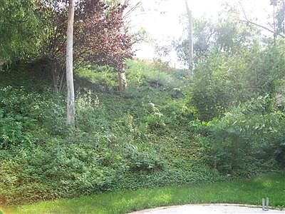 5th image of 23318 W Vail Dr