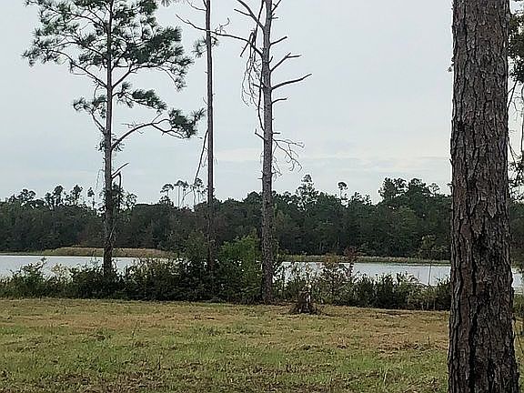 3rd image of Paradise Cir