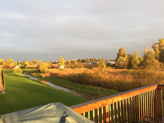 View from back deck w/ deer