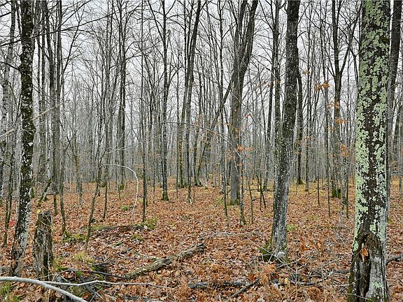 5th image of 29.19 acres County Highway C