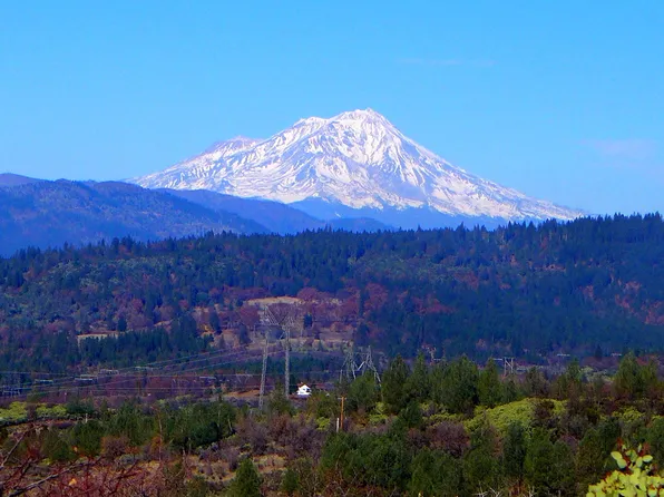 Back Woods Dr, Round Mountain, CA 96084