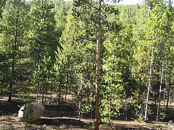 39 Glory Hole Road, Idaho Springs, CO 80452