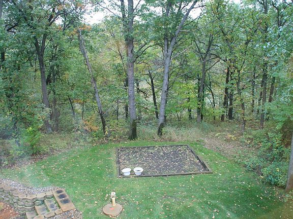 backyard garden