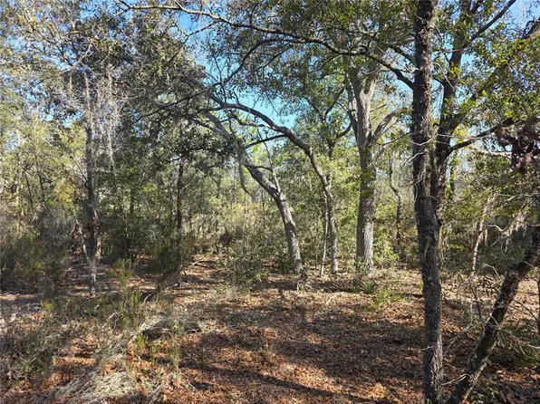 NE 87th Pl, Bronson, FL 32621