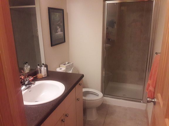 Basement bathroom 