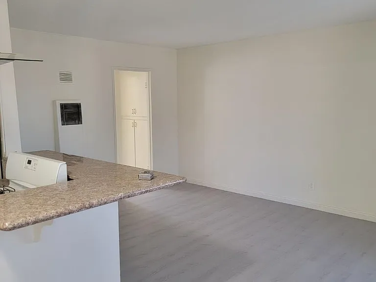 323 W 11th St #17 — Photo 8