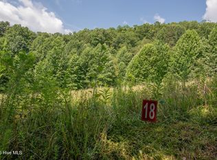 117 Henry Moss Ln LOT 18, Marble, NC 28905