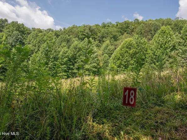 117 Henry Moss Ln Lot 18, Marble, NC 28905