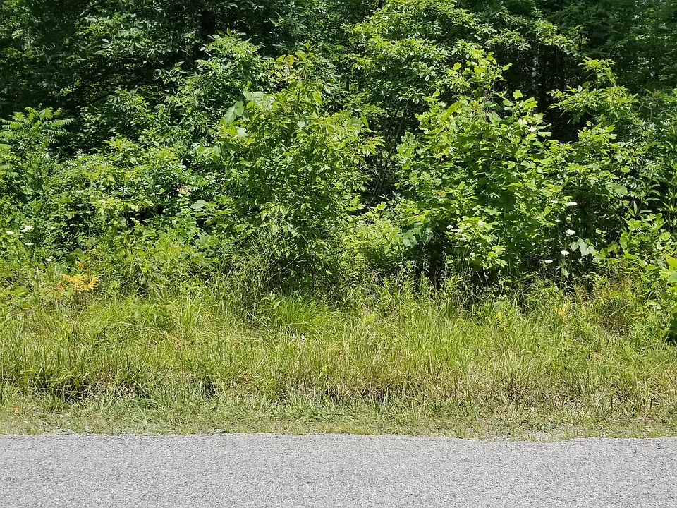 2nd image of Frazier Rd