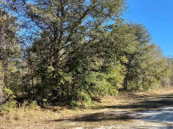 LOT 22 SW Chippewa Gln #22, Fort White, FL 32038