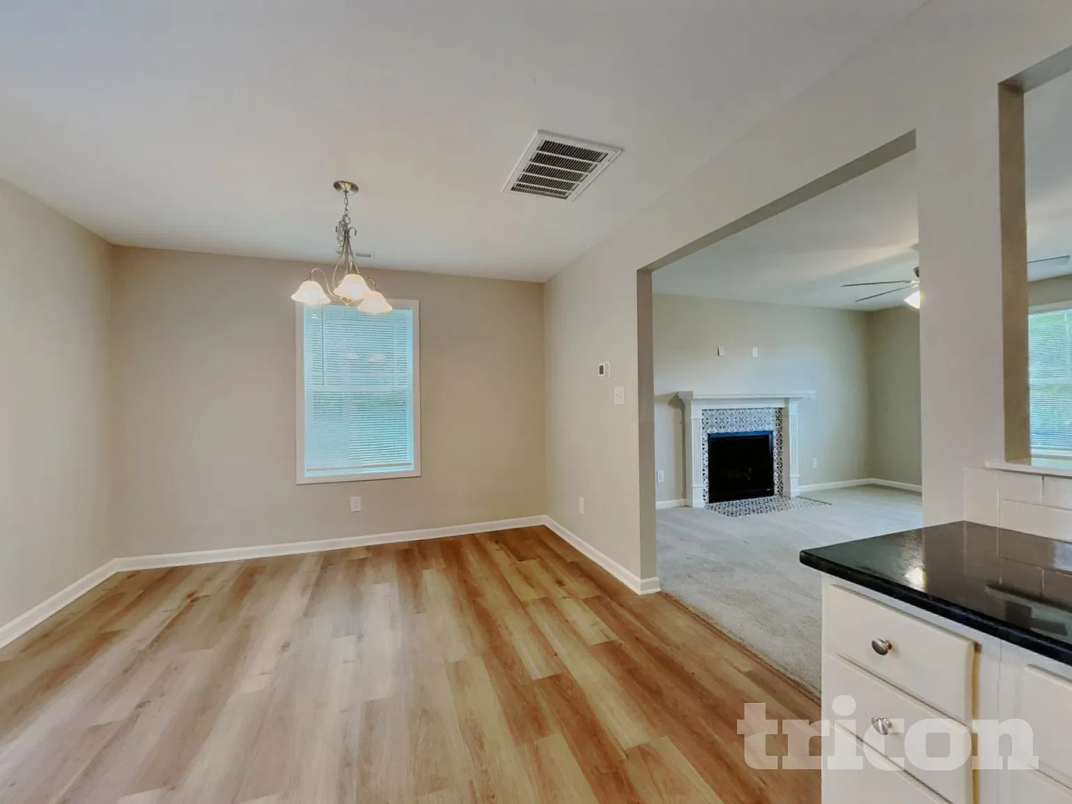 105 Hockey Puck Way Benson NC — Photo 4