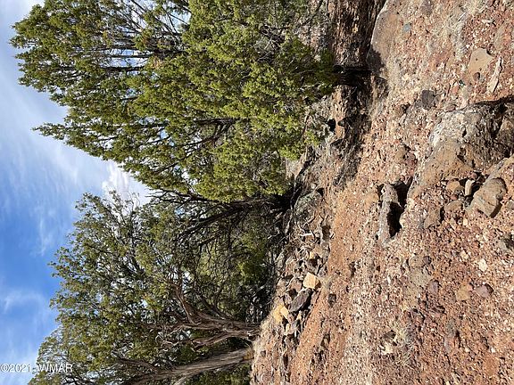 2nd image of 1847 Rocky Bottom Pl