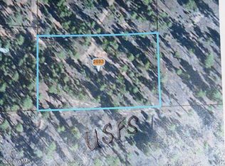 2693 Horseshoe Ct, Overgaard, AZ 85933