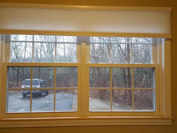 View of woods from kitchen window